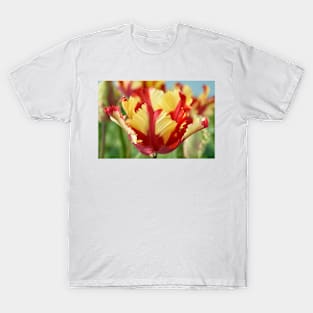 Tulipa &#39;Flaming Parrot&#39; Parrot Group Tulip T-Shirt